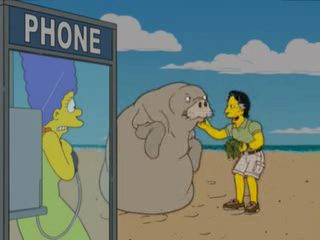 La hoguera de los manaties